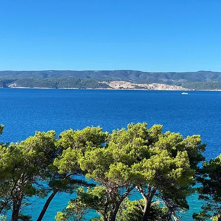 Blue View
